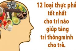 Thực phẩm tốt cho trí não